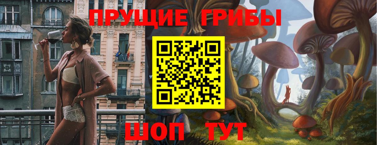 Шали  Псилоцибиновые грибы мицелий  Вход с VPN 